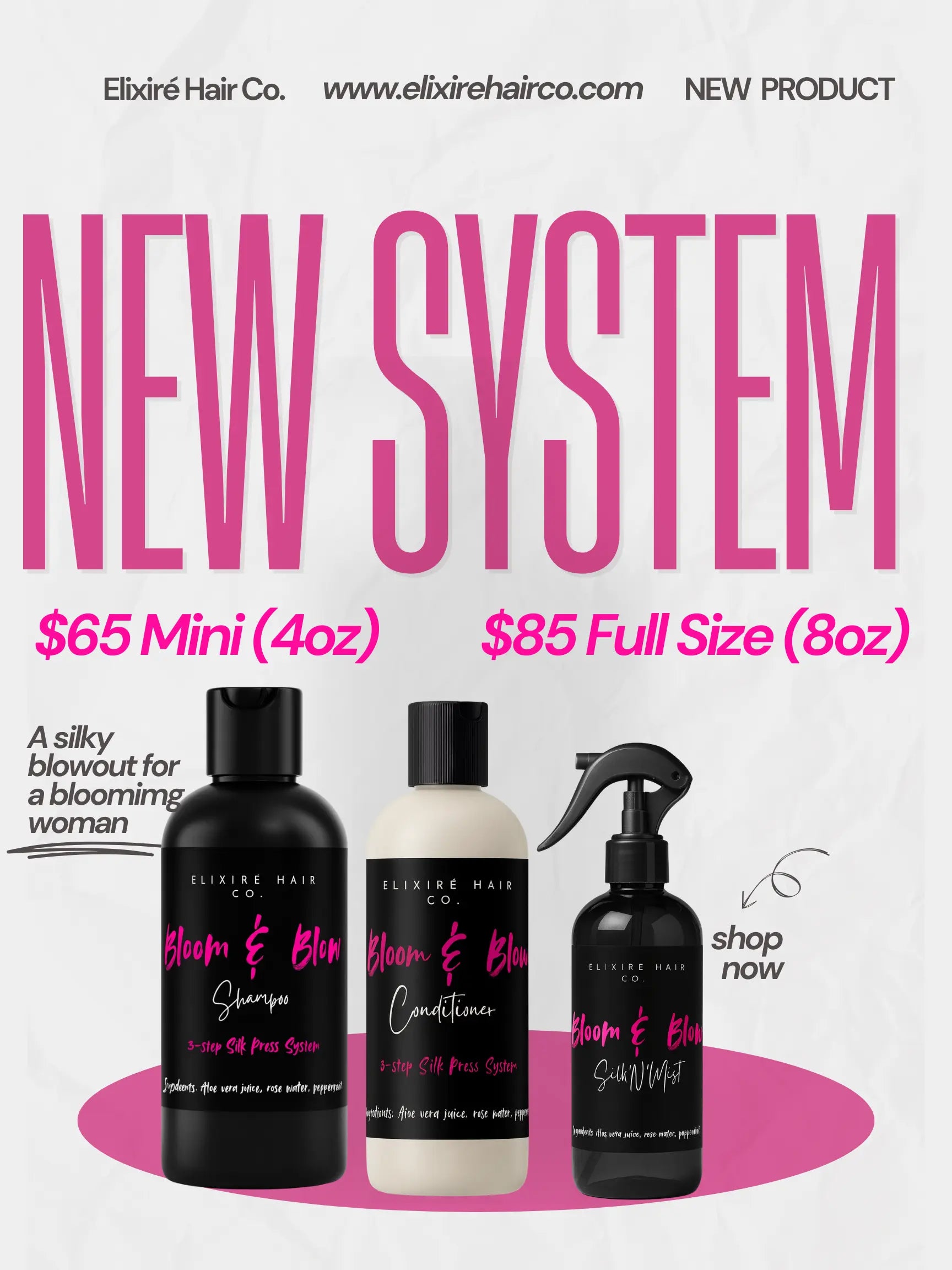 Bloom & Blow System – Silky Silk Press Care Set: COMING SOON