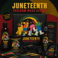 JUNETEENTH FREEDOM WASH DAY KIT Elixiré Hair Company, LLC